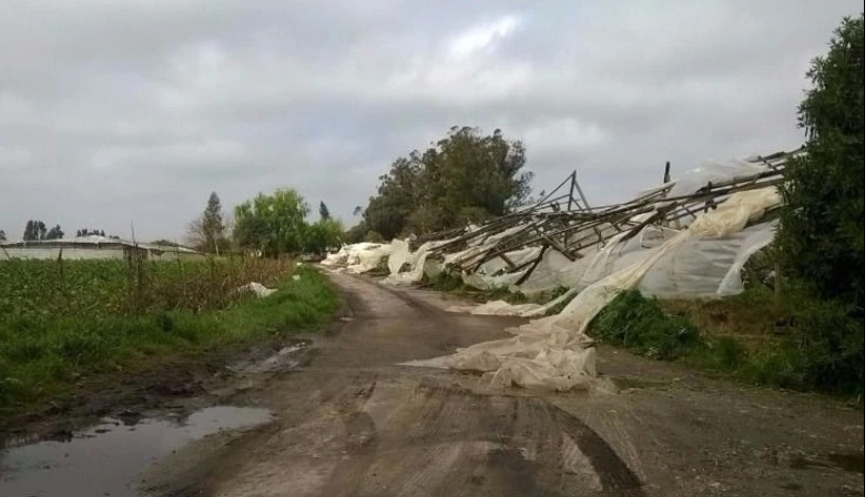 Cordón frutihortícola de Mar del Plata en alerta por El Niño: productores denuncian cinco años sin obras hidráulicas