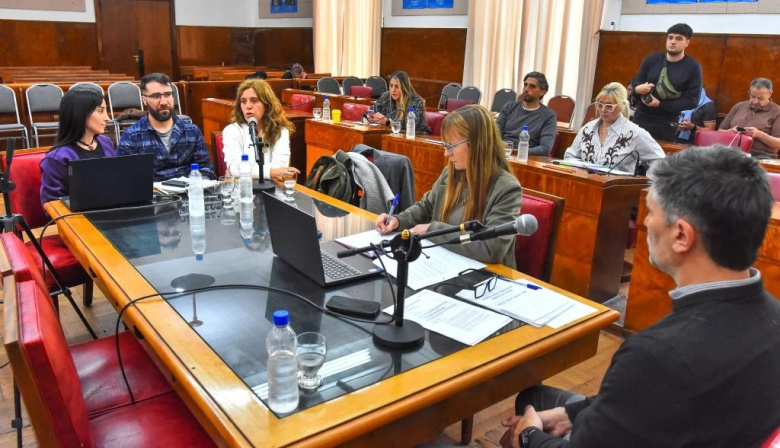 Alerta en Mar del Plata: el HIGA registró 153 ingresos por intentos de suicidio en nueve meses y crece la preocupación