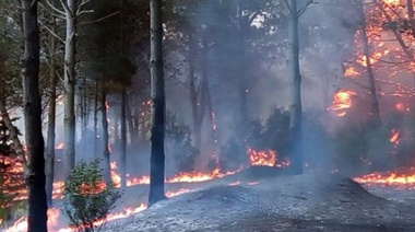 "Es el incendio más grande de la historia de Pinamar"