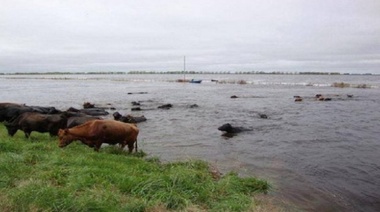 Inundaciones: la Provincia prorrogará el pago del impuesto inmobiliario