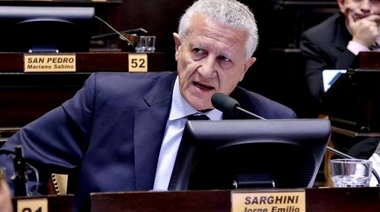 Jorge Sarghini: "Si pensamos distinto no somos destituyentes, somos opositores"