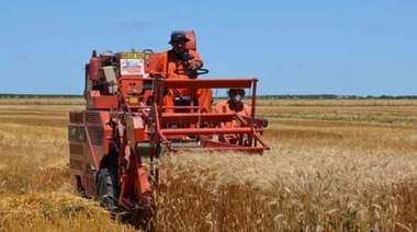 Nueva línea de crédito del Banco Provincia para la producción agroindustrial