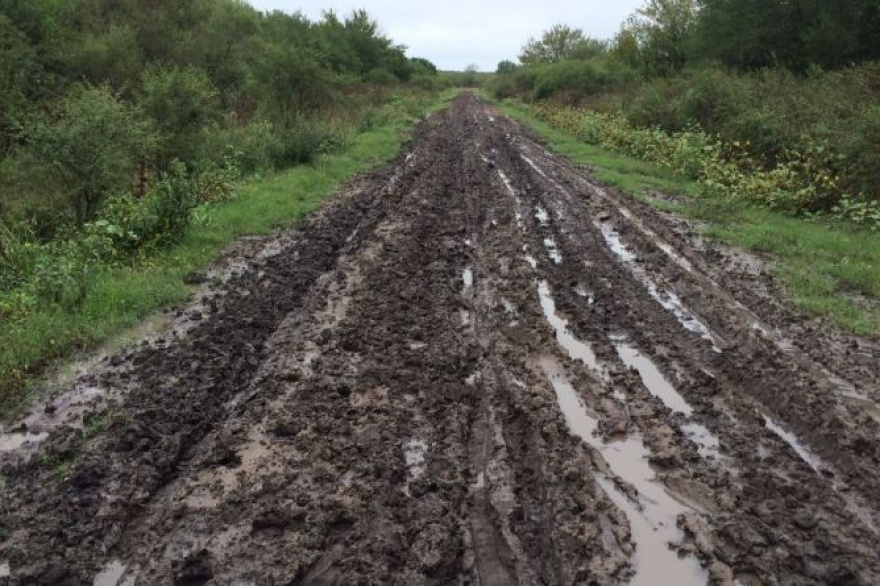 Denuncian que “el 60% de los caminos rurales está en mal estado”