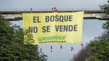 El Frente Renovador expresó su preocupación por las amenazas contra Greenpeace Argentina