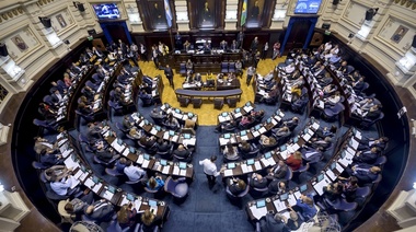 Los 92 diputados de la provincia de Buenos Aires hicieron pública sus declaraciones juradas