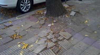 La Plata: habrá multas de $346 mil por vereda rota y $51 mil por lavar autos en la calle