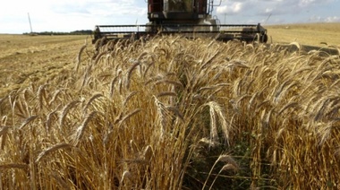 Asistencia financiera a pequeños productores agroindustriales