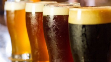 Proponen reducción de Ingresos Brutos para la producción de cerveza artesanal