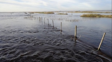Declaran la emergencia agropecuaria para una veintena de municipios