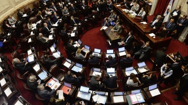 El Senado aprobó la Ley de Protección Integral a las Mujeres