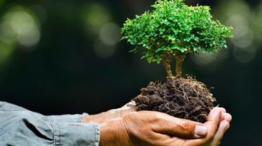 Día de la Tierra: "día a día reafirmamos nuestra lucha por el cuidado del medio ambiente"