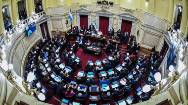Senadores del PJ repudiaron el "golpe el Estado Plurinacional de Bolivia"