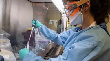 Coronavirus en Argentina: Informan 66 nuevos fallecidos y se registran 5.428 muertos