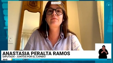 Peralta Ramos: “Hace siete meses que estamos a ciegas”