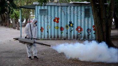 Alertan que “no alcanza” solo con la fumigación para combatir al dengue