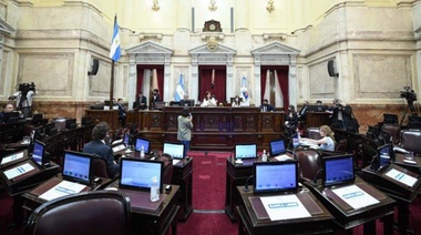 El Senado aprobó el aporte solidario a las grandes fortunas y se convirtió en Ley