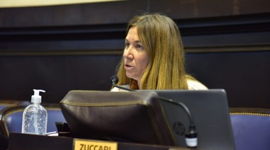 Solicitan al Gobierno que detalle sobre la decisión de transformar las escuelas en centros de vacunación