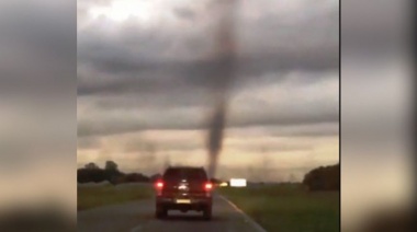 Tornado de mosquitos en la ruta camino a Pinamar
