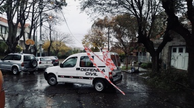 Temporal en Mar del Plata: Árboles caídos, voladura de techos y problemas eléctricos