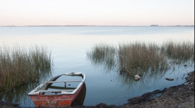 La Defensoría le reclamó a las autoridades de Lobos que frenen el uso de agroquímicos