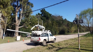 EDELAP instaló más de 400 nuevas columnas de hormigón para mejorar la red eléctrica