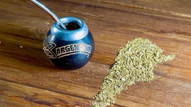 Día Nacional del Mate: por qué se celebra y cuánto se consume