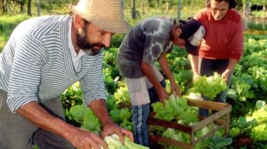 Mutuales podrán presentarse a la convocatoria abierta del Ministerio de Agricultura, Ganadería y Pesca de la Nación