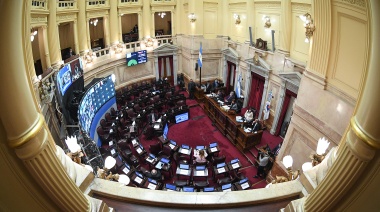 Se trata en el Senado el proyecto de acuerdo con el FMI