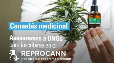 La Defensoría ayudará a las ONG que busquen ser proveedoras de cannabis medicinal
