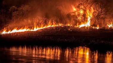 Cabandié sobre los focos de incendios: “La Justicia debería citar a los dueños de campos"