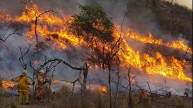 Ocho provincias registran focos activos de incendios forestales