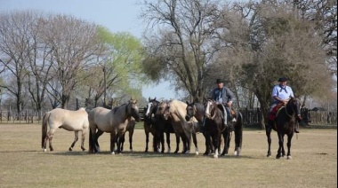 Se realiza la 83° Fiesta de la Tradición en San Antonio de Areco