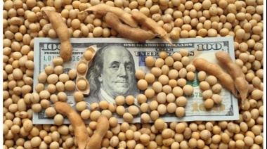 “Massa logró frenar una situación crítica pero sigue sin presentar un plan económico”, dijo Dritsos