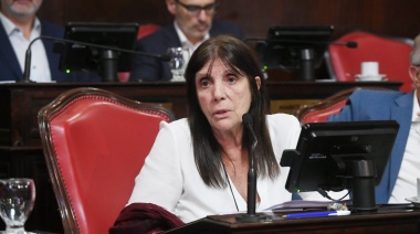 Senadora del FdT advierte que en el “sector político se vive un proceso institucional grave”