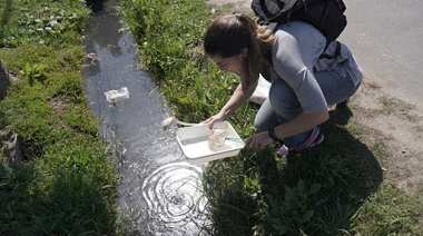 Instalan equipamiento para identificar la presencia del mosquito Aedes en la cuenca Matanza- Riachuelo