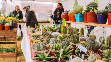 Propuesta de fin de semana: exposiciones y festivales en provincia