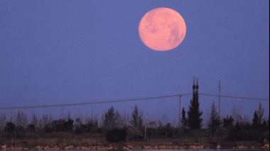 Luna Rosa 2023: cuándo y cómo verla desde Argentina