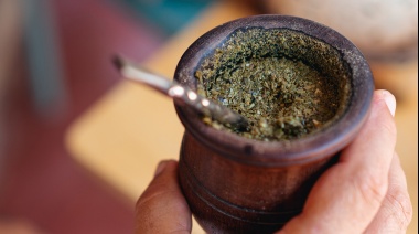 Yerba mate para almacenar energía, un hallazgo argentino