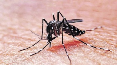 La ANMAT aprobó el uso de una vacuna contra el dengue