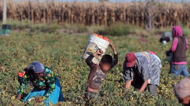 Trabajo Infantil: En la provincia trabajan sobre restitución de derechos de las infancias