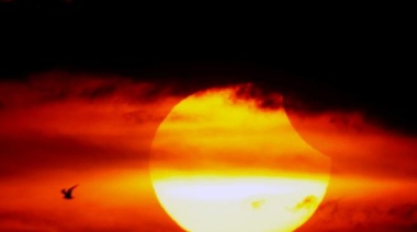 Temperaturas récords: julio fue el mes más caluroso registrado en la historia