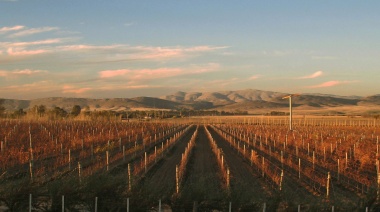 Las escapadas del vino: bodegas para disfrutar en nuestra Provincia