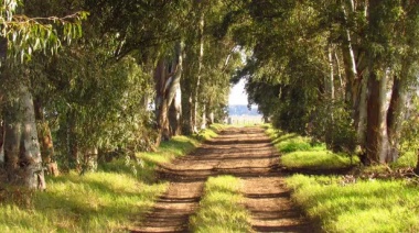 Escapadas para disfrutar de paisajes e historias: dos destinos campestres que ofrecen tranquilidad