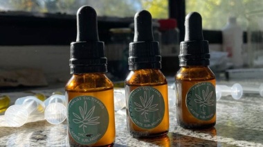 La UNLP incorporó el uso de cannabis en pacientes con patologías neurológicas