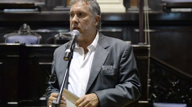 Pallares: "Milei no está preparado para gobernar"