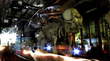 La Plata se prepara para una nueva edición de "Museos a la luz de la luna"