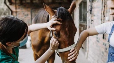 Piden informes sobre los casos de encefalomielitis equina