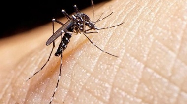 Los casos de dengue aumentaron un 87% en la provincia