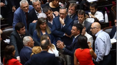 El bloque radical afirmó: "Nuestro país necesita más racionalidad y menos extremos"