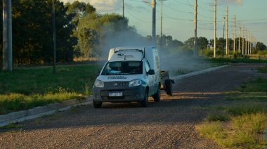 Invasión de mosquitos: Fumigan de emergencia toda la Provincia